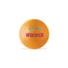 Pallone volley Winner - Mondo